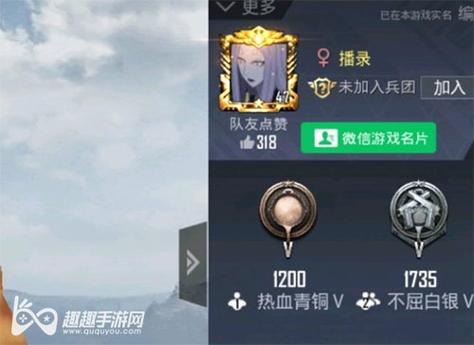 和平精英外挂【独行者】回归